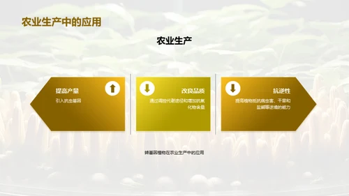 转基因植物