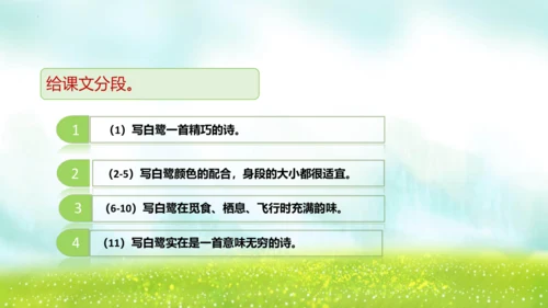 1《白鹭》（课件）