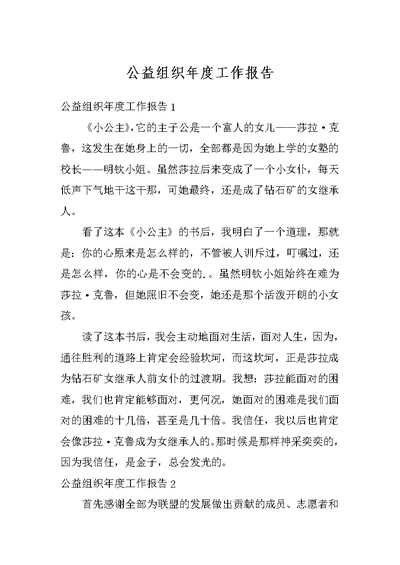 公益组织年度工作报告