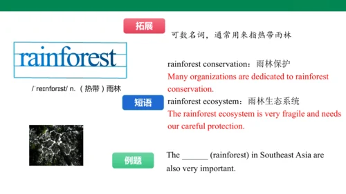 Unit 6 The power of plants 单词讲解趣味课件 新外研（2024）版七上英语