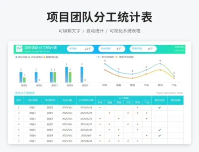 项目团队分工统计表