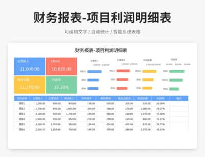 财务报表-项目利润明细表