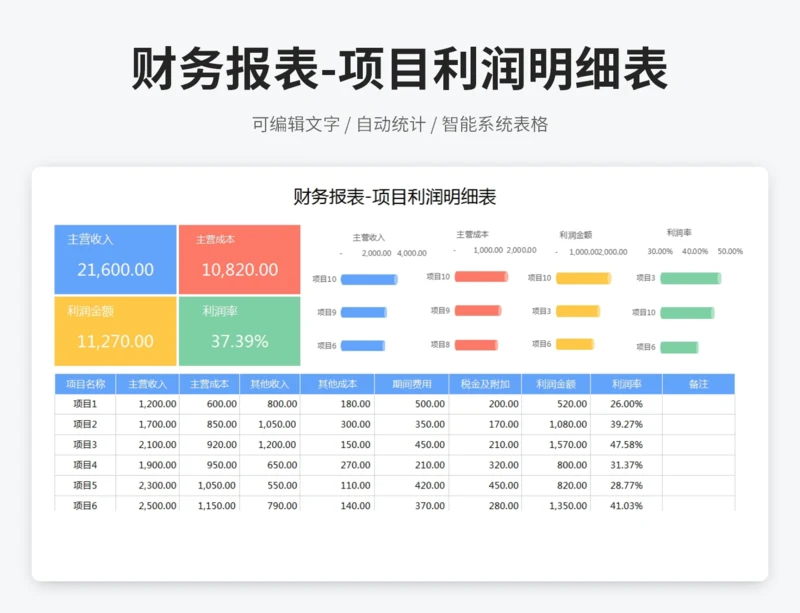 财务报表-项目利润明细表