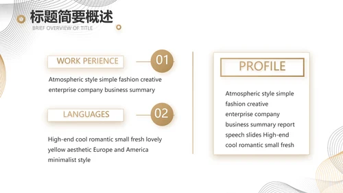 简约大气公司产品介绍宣传通用PPT