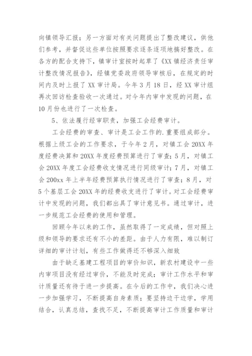 镇政府内部审计工作总结.docx