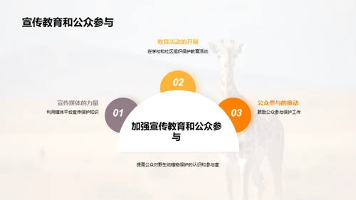 守护生态，我们在行动