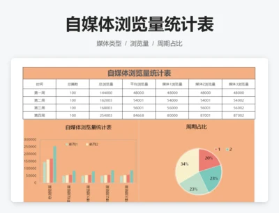 自媒体浏览量统计表
