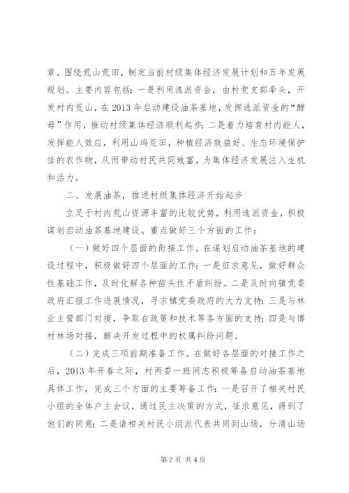 村级集体经济发展壮大典型材料.docx