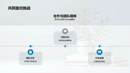三年级：成长之路