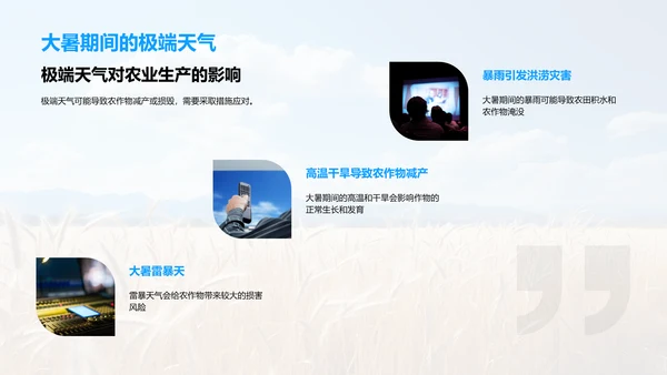 大暑农业生产