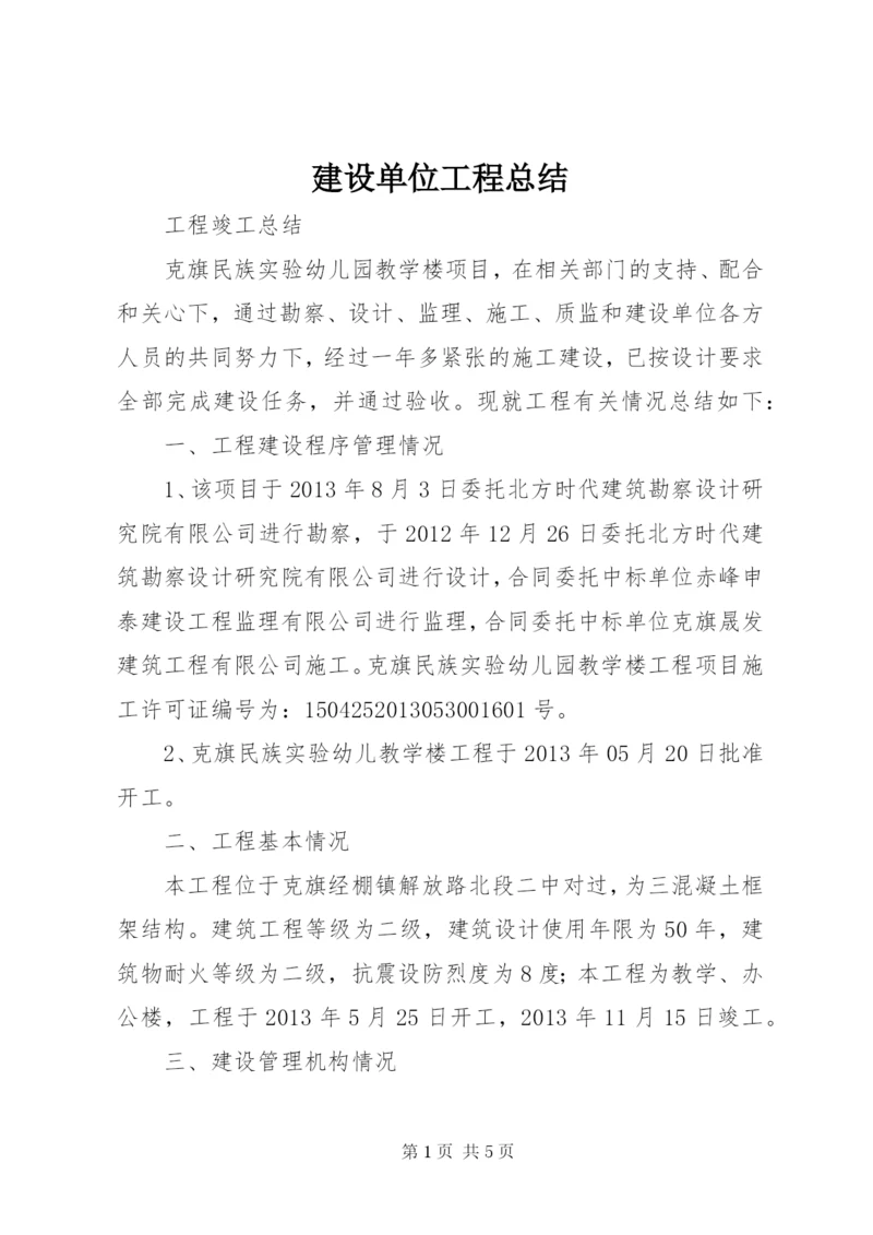 建设单位工程总结 (4).docx