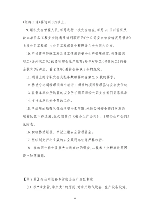 分公司责任制度7篇.docx