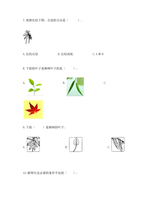 教科版一年级上册科学期末测试卷1套.docx