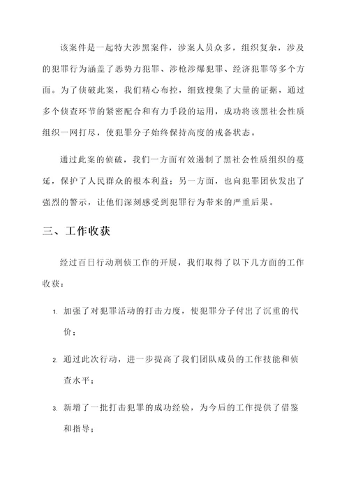 百日行动刑侦工作总结汇报