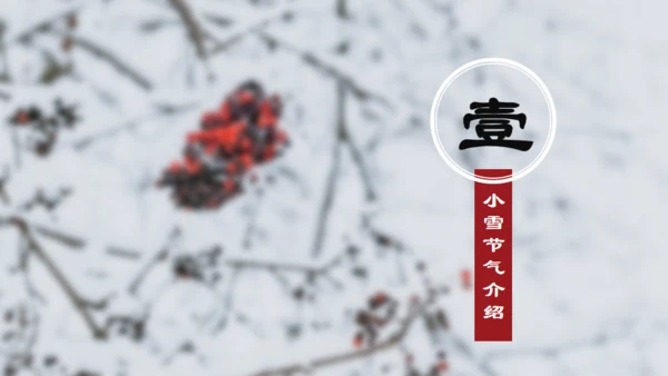 小雪寒冬通用PPT模板