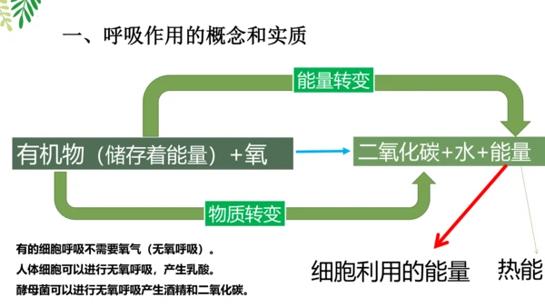 3.5.2 绿色植物的呼吸作用-2023-2024学年七年级生物上册优质课件（人教版）(共18张PP