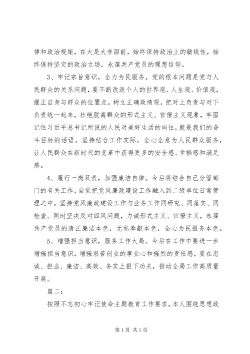 “不忘初心牢记使命”主题教育检视剖析材料两篇.docx