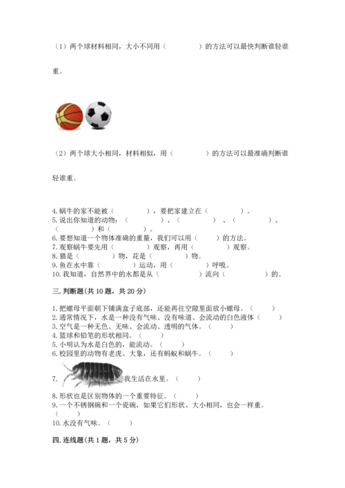 教科版一年级下册科学期末测试卷及参考答案（模拟题）.docx