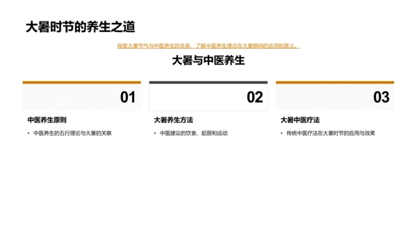 大暑节气解读PPT模板