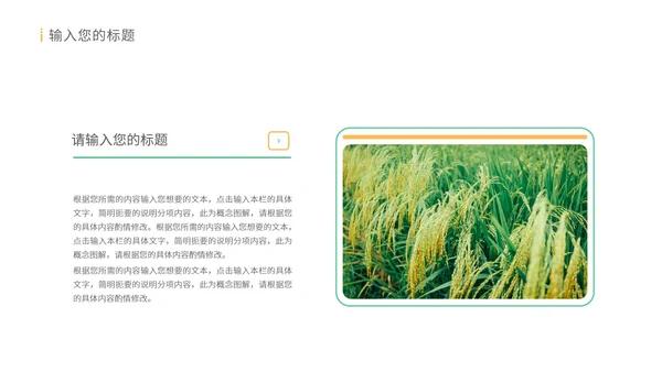 绿色水彩风珍惜粮食教育PPT模板