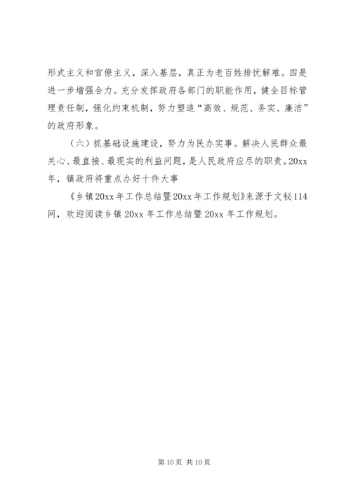 乡镇工作总结暨工作规划.docx