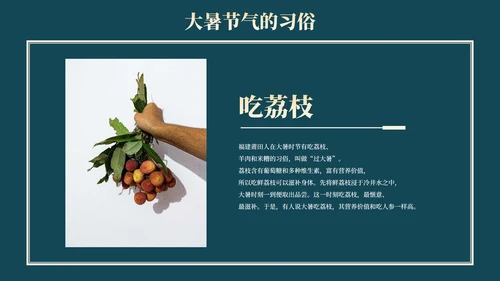 中国风荷花二十四节气之大暑节气介绍PPT模版