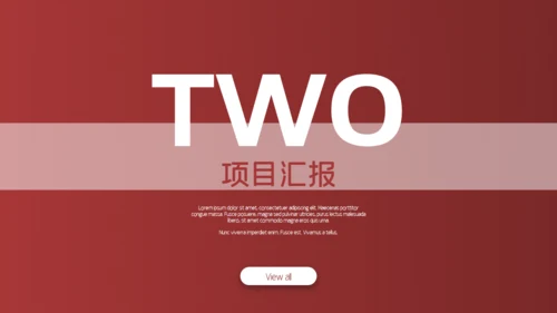 金融业投资者项目通用PPT模板