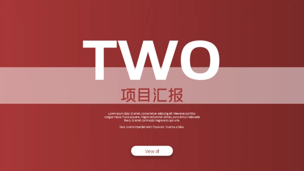 金融业投资者项目通用PPT模板
