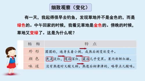 部编版三年级语文上册 第五单元习作例文：我家的小狗  课件