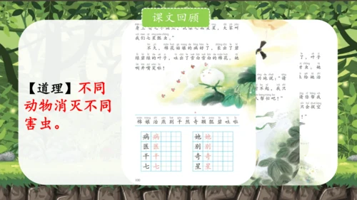 统编版语文一下第八单元复习课件