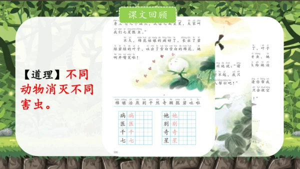 统编版语文一下第八单元复习课件