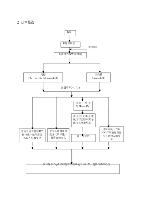 高糖环境对豚鼠膀胱Cajal样细胞形态超微结构的影响外科学专业毕业论文