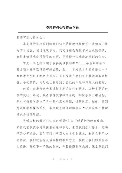 教师实训心得体会5篇.docx