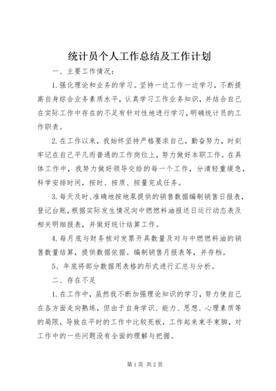 统计员个人工作总结及工作计划.docx