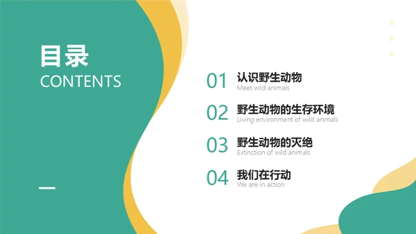 保护野生动物斑马通用PPT模板