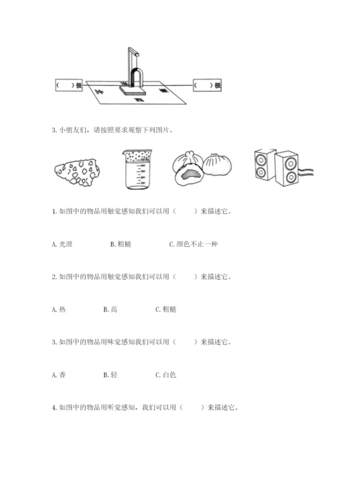 教科版二年级下册科学期末测试卷含完整答案【历年真题】.docx