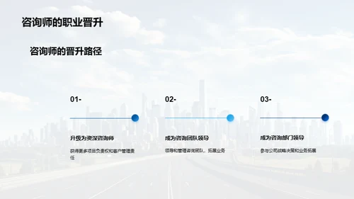 咨询行业全景解析