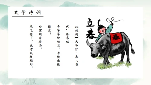 春风杨柳立春柳枝柳树通用PPT模板