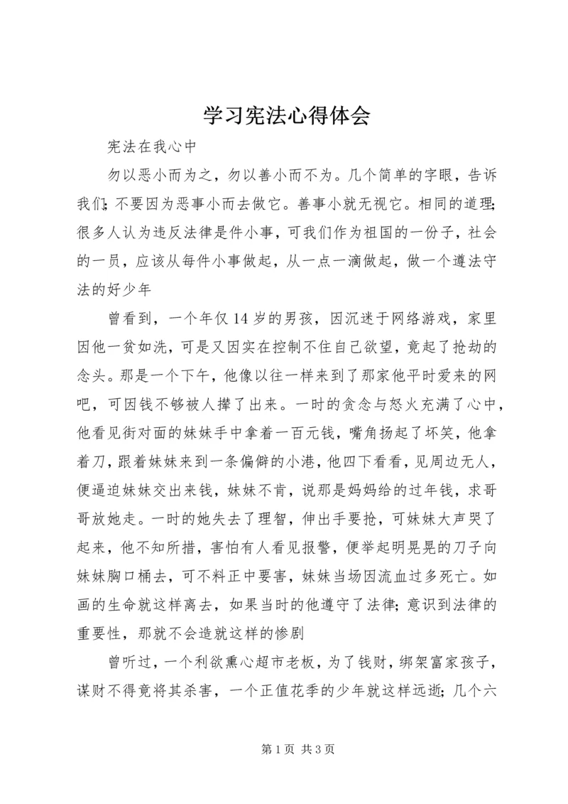 学习宪法心得体会 (10).docx