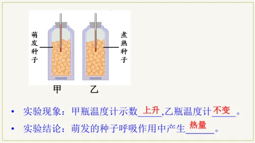 3.5.2 绿色植物的呼吸作用（课件）七年级生物上学期（人教版）(共32张PPT)