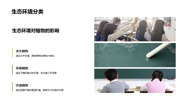 探索植物的奥秘