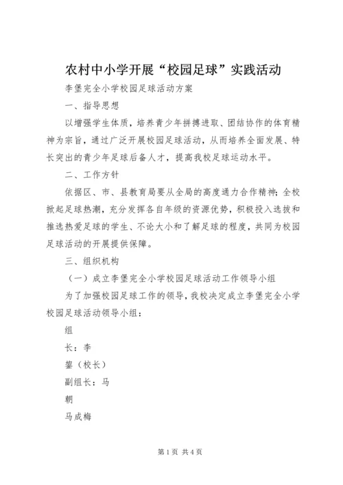 农村中小学开展“校园足球”实践活动 (4).docx