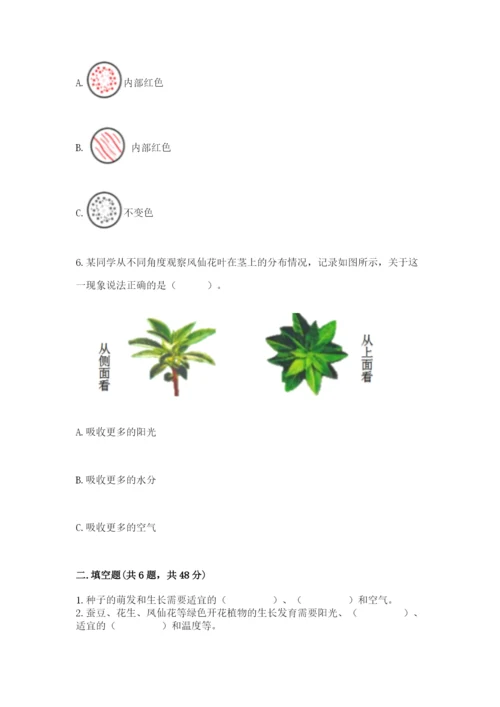 教科版四年级下册科学第一单元《植物的生长变化》测试卷精品【a卷】.docx