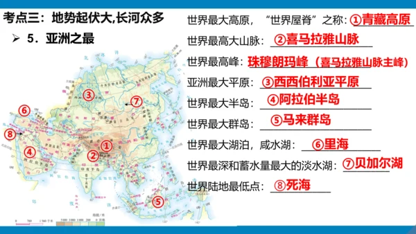 第六章 我们生活的大洲（课件38张）-2023-2024学年七年级地理下册期中复习（人教版）