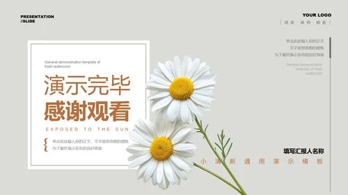 灰色小清新风雏菊总结汇报通用PPT演示模板