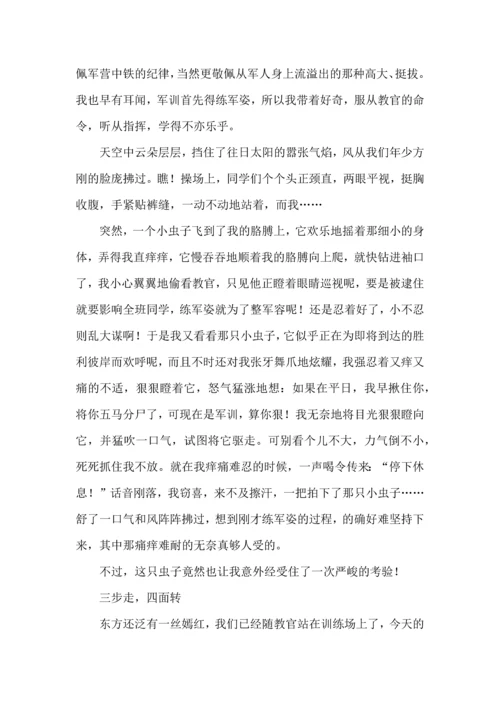 初中军训心得体会模板汇编8篇（一）.docx