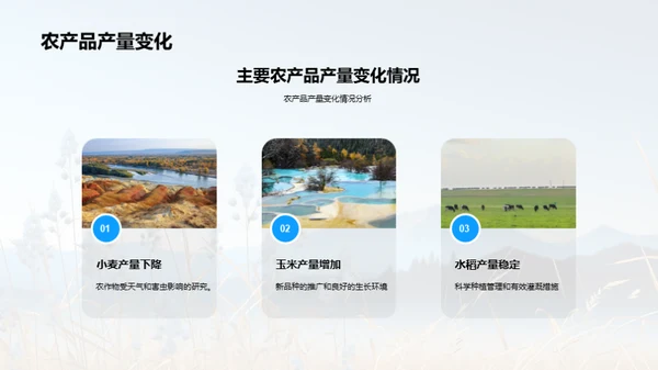 农业收益全面分析
