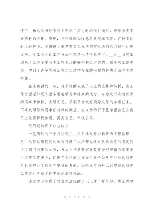 试用期转正工作总结（10篇）.docx