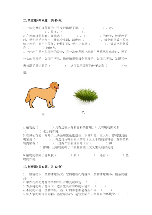 科学四年级下册第一单元《植物的生长变化》测试卷带答案.docx