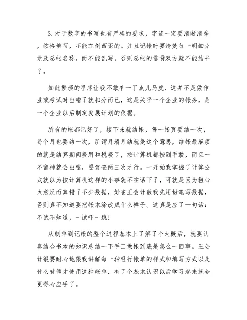 寒假公司会计的实训总结范文